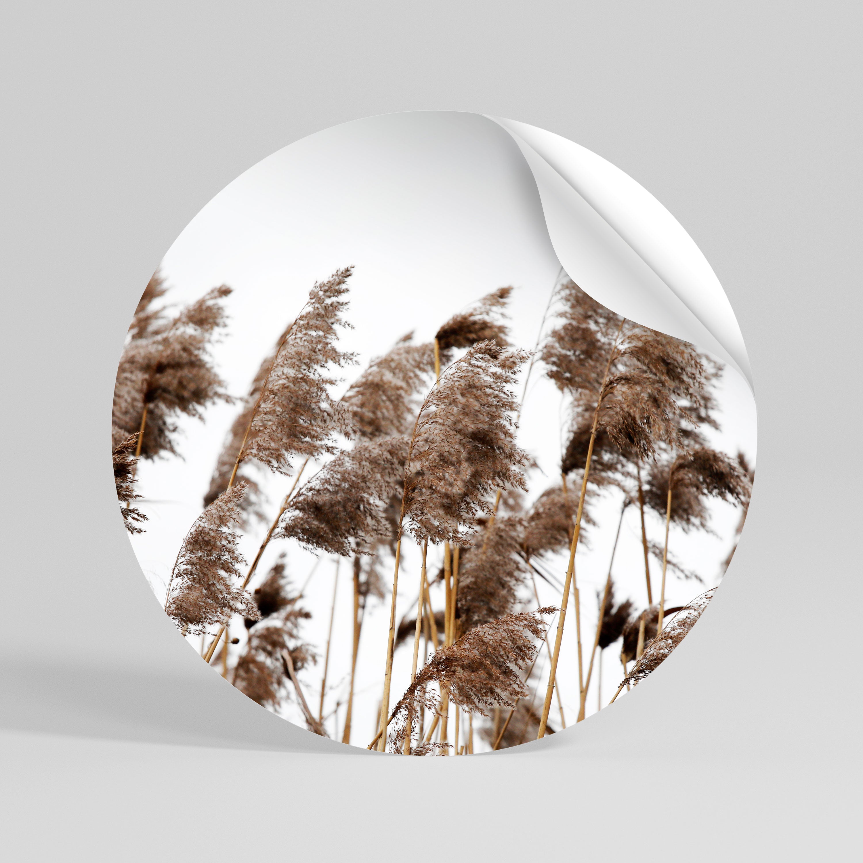 DANCE OF REEDS Runder Wandsticker zum Abziehen und Aufkleben