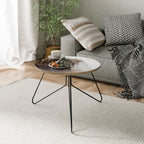 MAMMOTH HOT SPRINGS Konferenční stolek