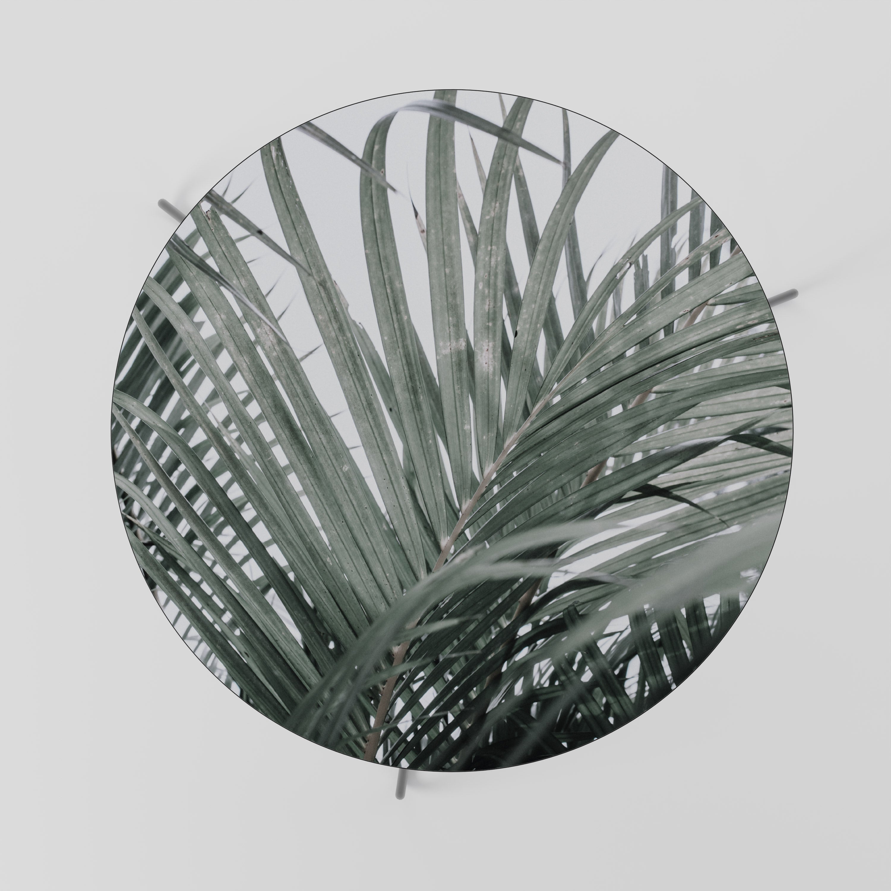 PALM WHISPERS Couchtisch