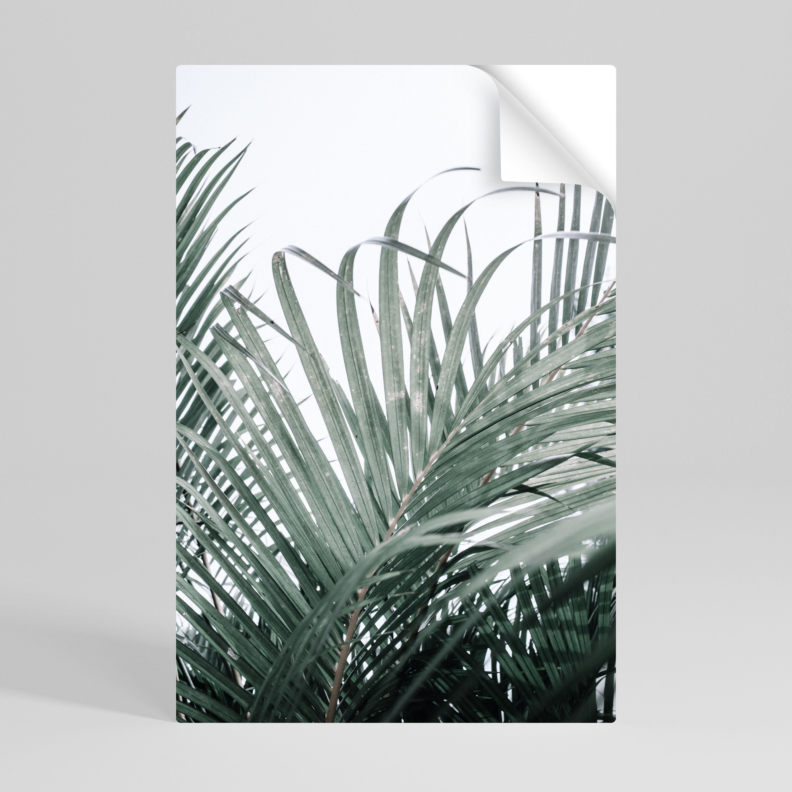 PALM WHISPERS Peel and Stick Vertical Poster