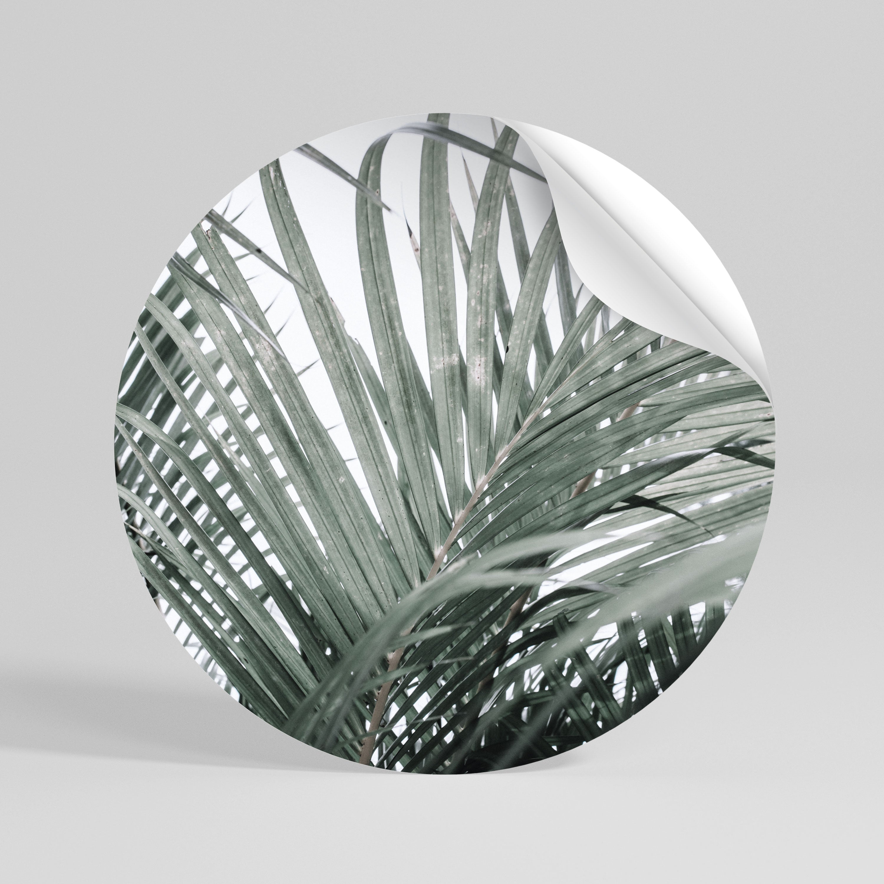 PALM WHISPERS Runder Wandsticker zum Abziehen und Aufkleben