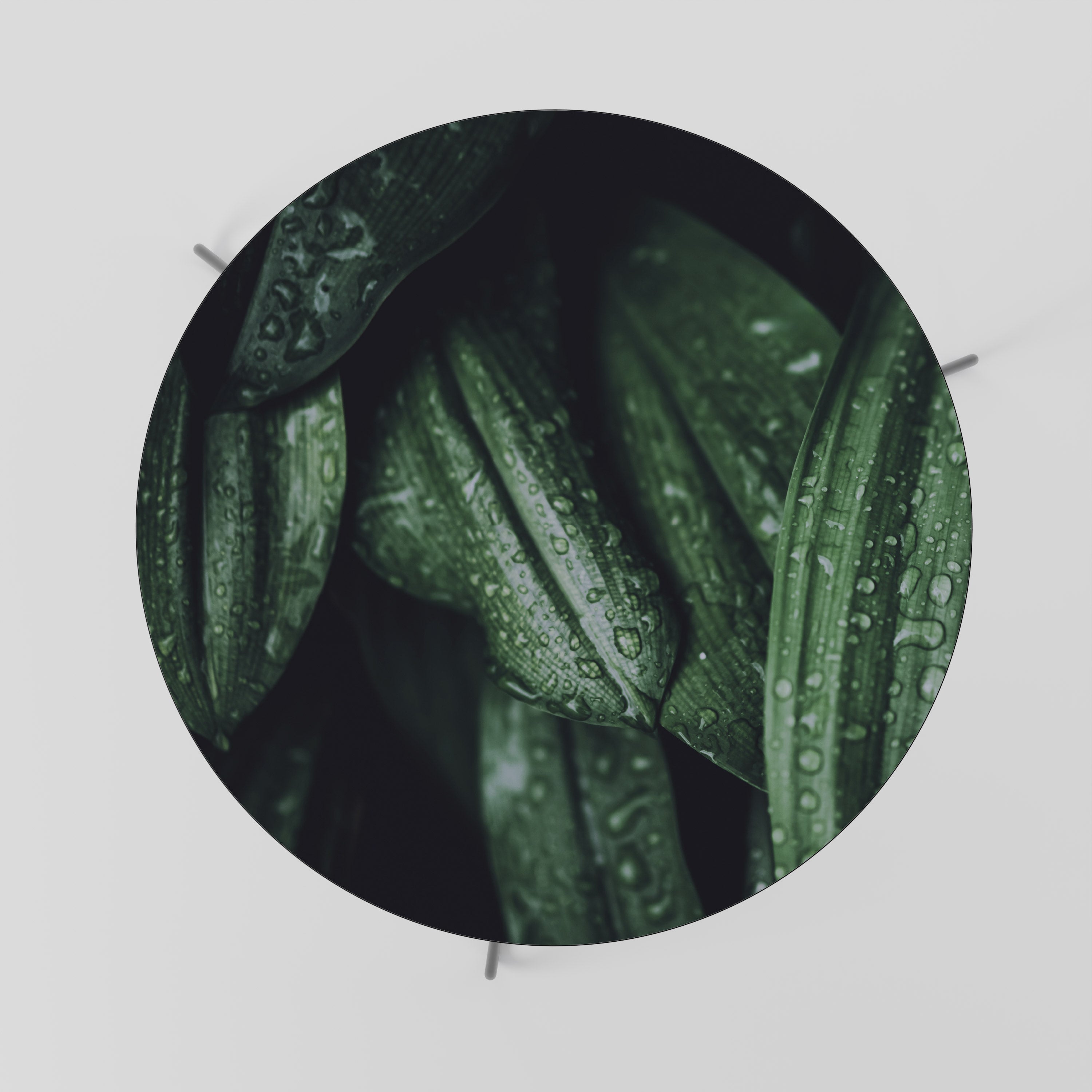 LUSH DROPLET DANCE Coffee Table