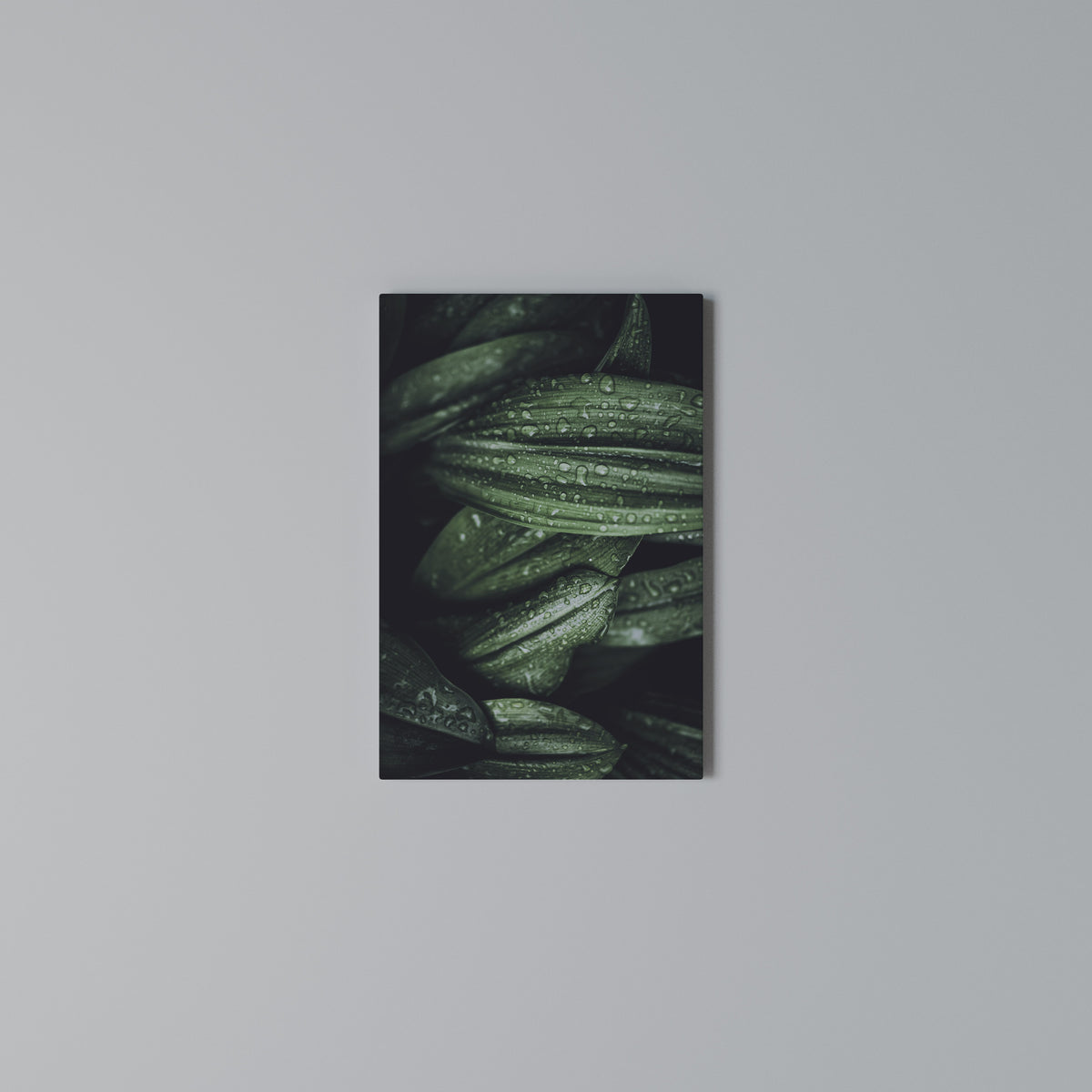 LUSH DROPLET DANCE Vertical Canvas Print