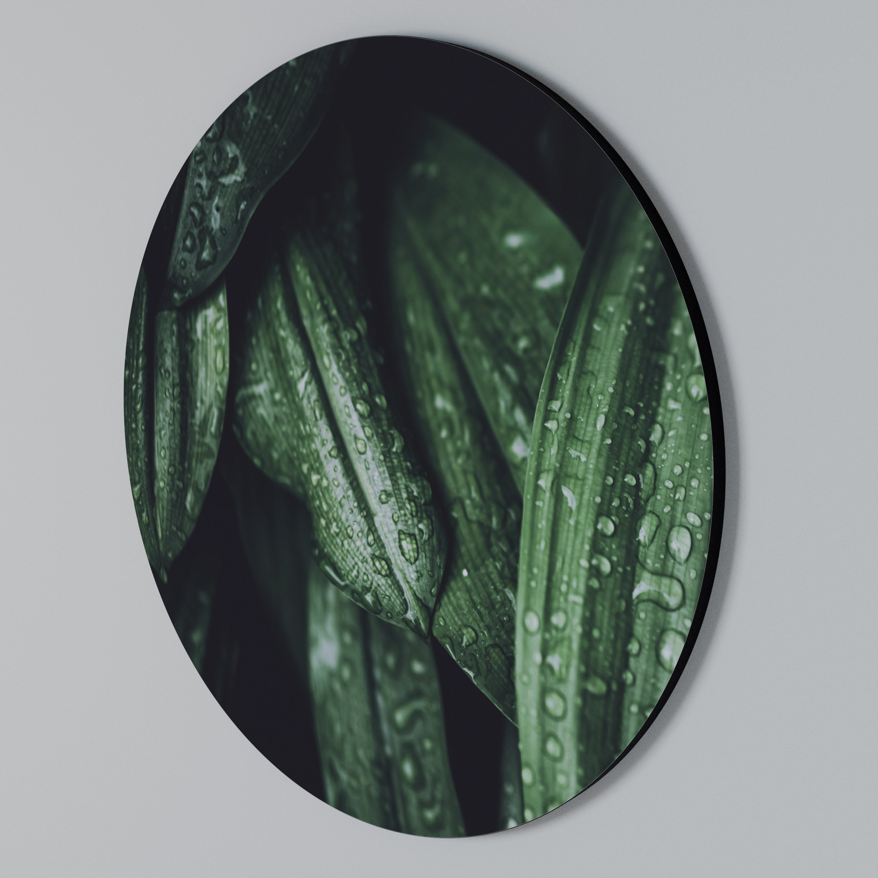 LUSH DROPLET DANCE Rundes Wandbild