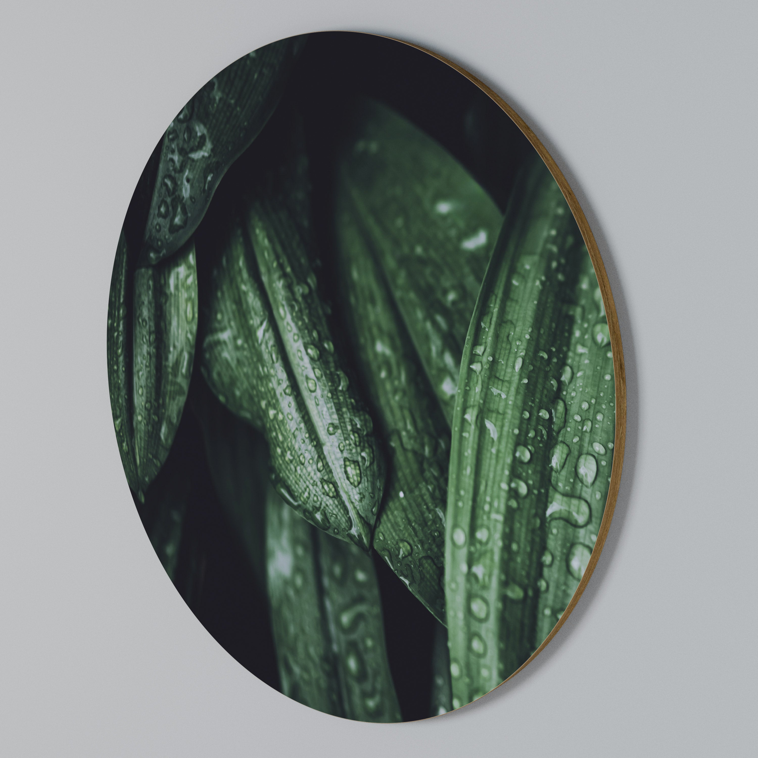 LUSH DROPLET DANCE Rundes Wandbild