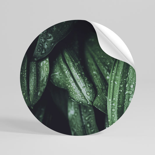 LUSH DROPLET DANCE Peel and Stick Round Sticker