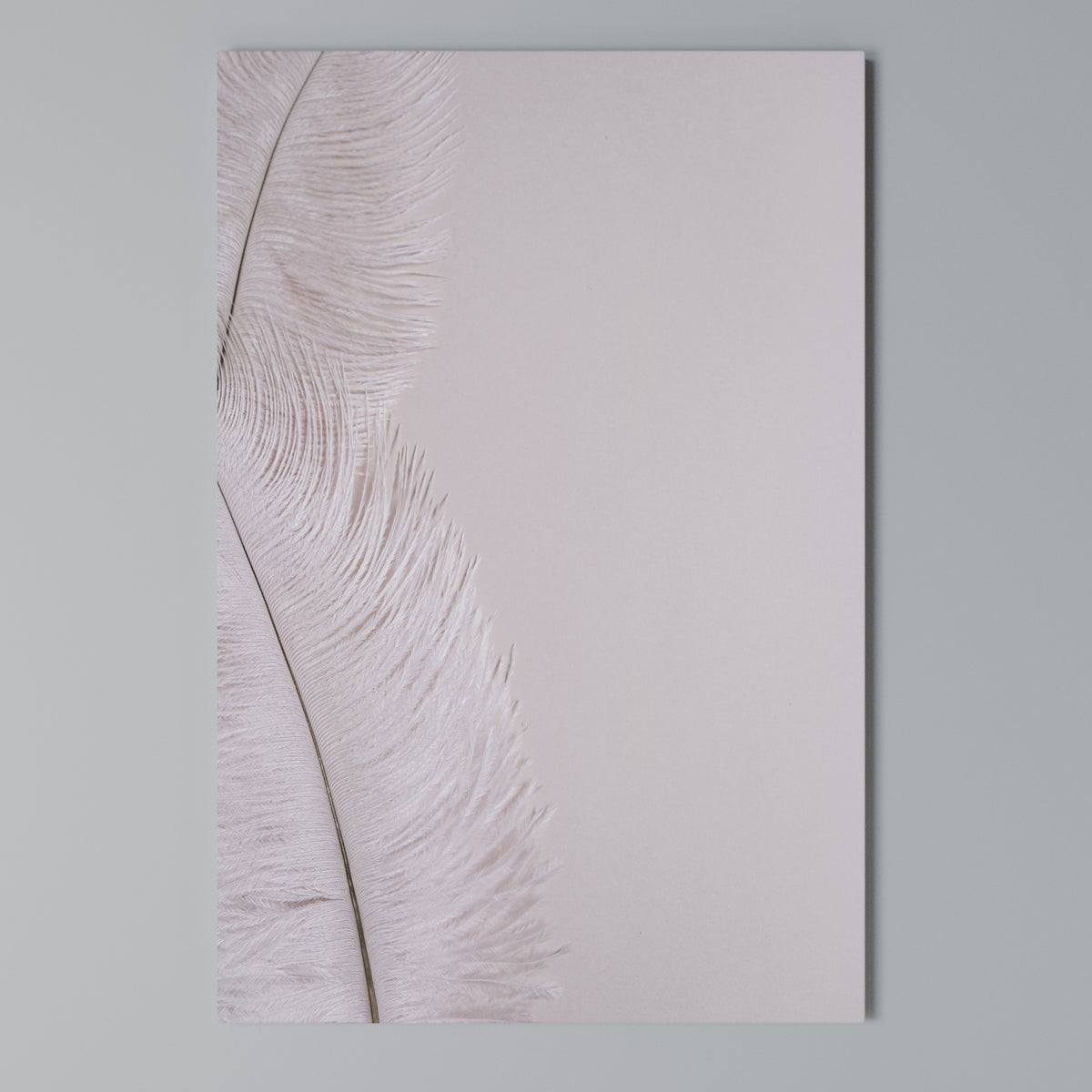 WHISPERING PINK FEATHERS Κατακόρυφος Πίνακας σε Καμβά