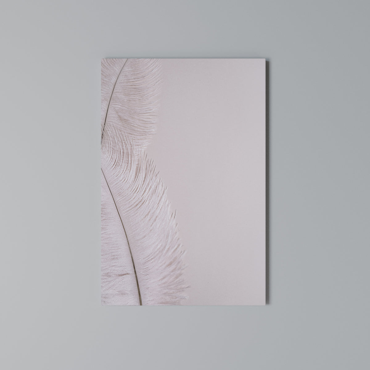 WHISPERING PINK FEATHERS Κατακόρυφος Πίνακας σε Καμβά