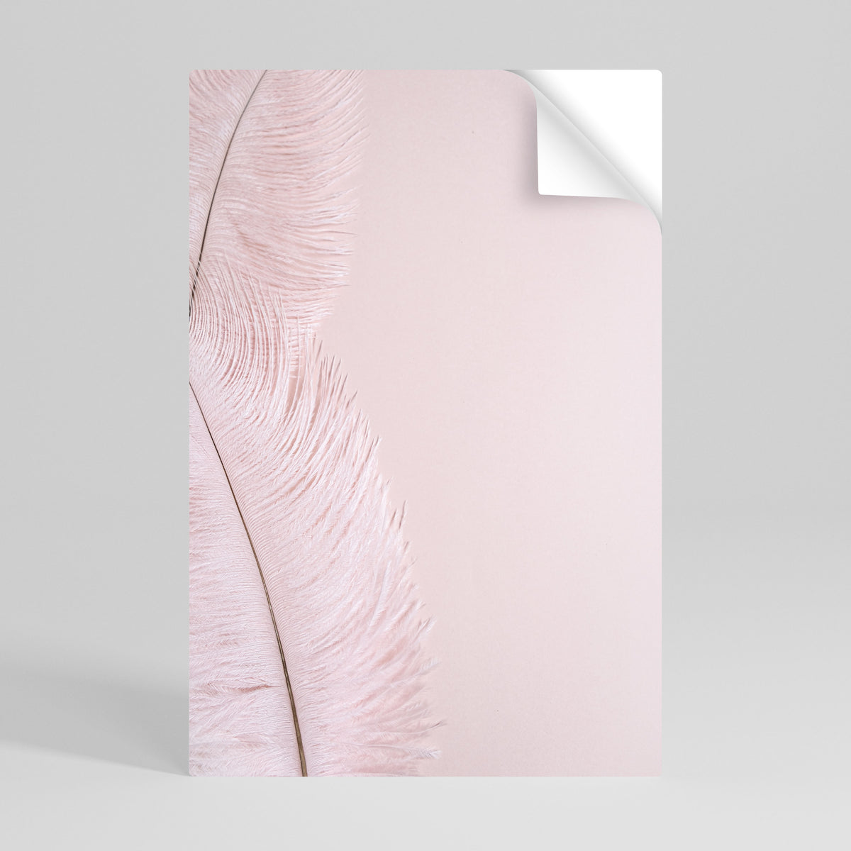 WHISPERING PINK FEATHERS Póster Autocolante Vertical