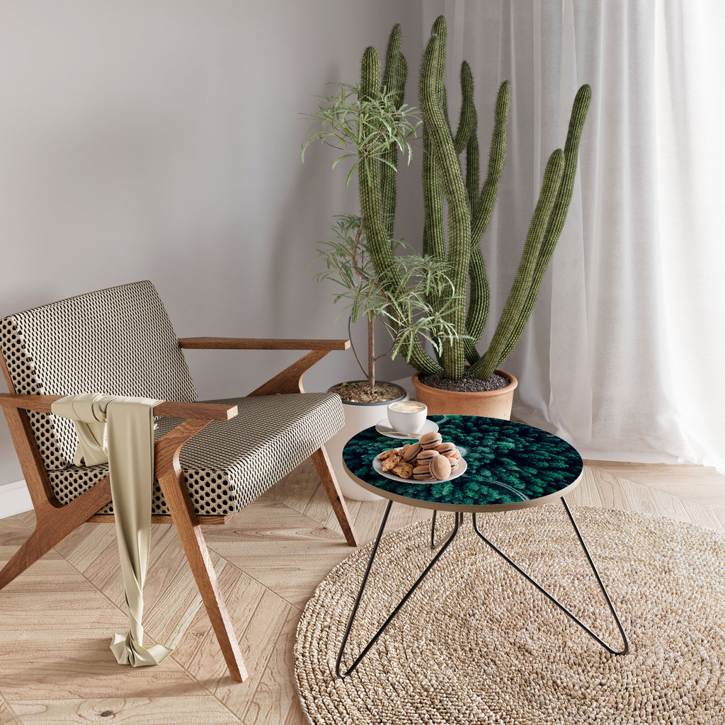 FORESTED SERPENTINE ROUTE Coffee Table
