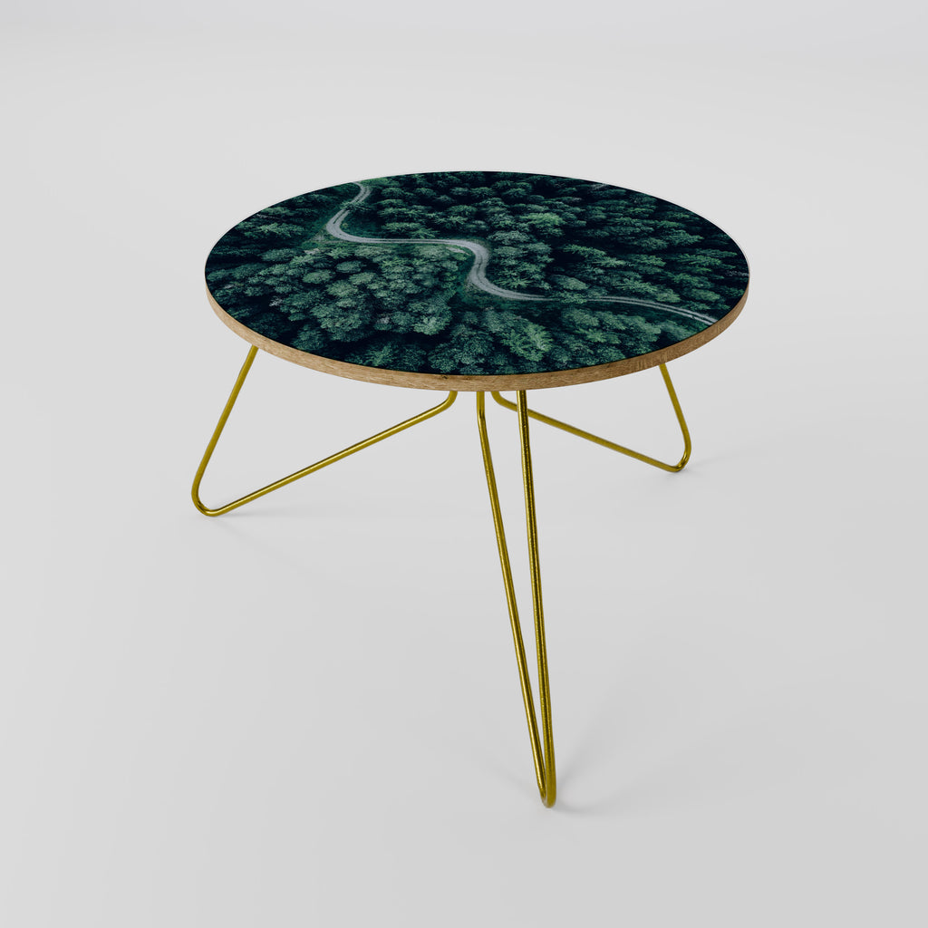 FORESTED SERPENTINE ROUTE Coffee Table
