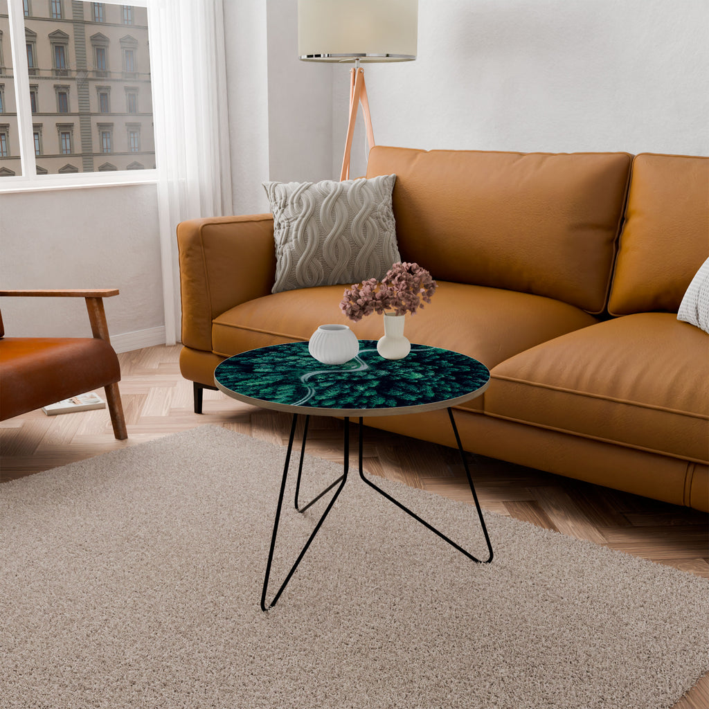 FORESTED SERPENTINE ROUTE Coffee Table