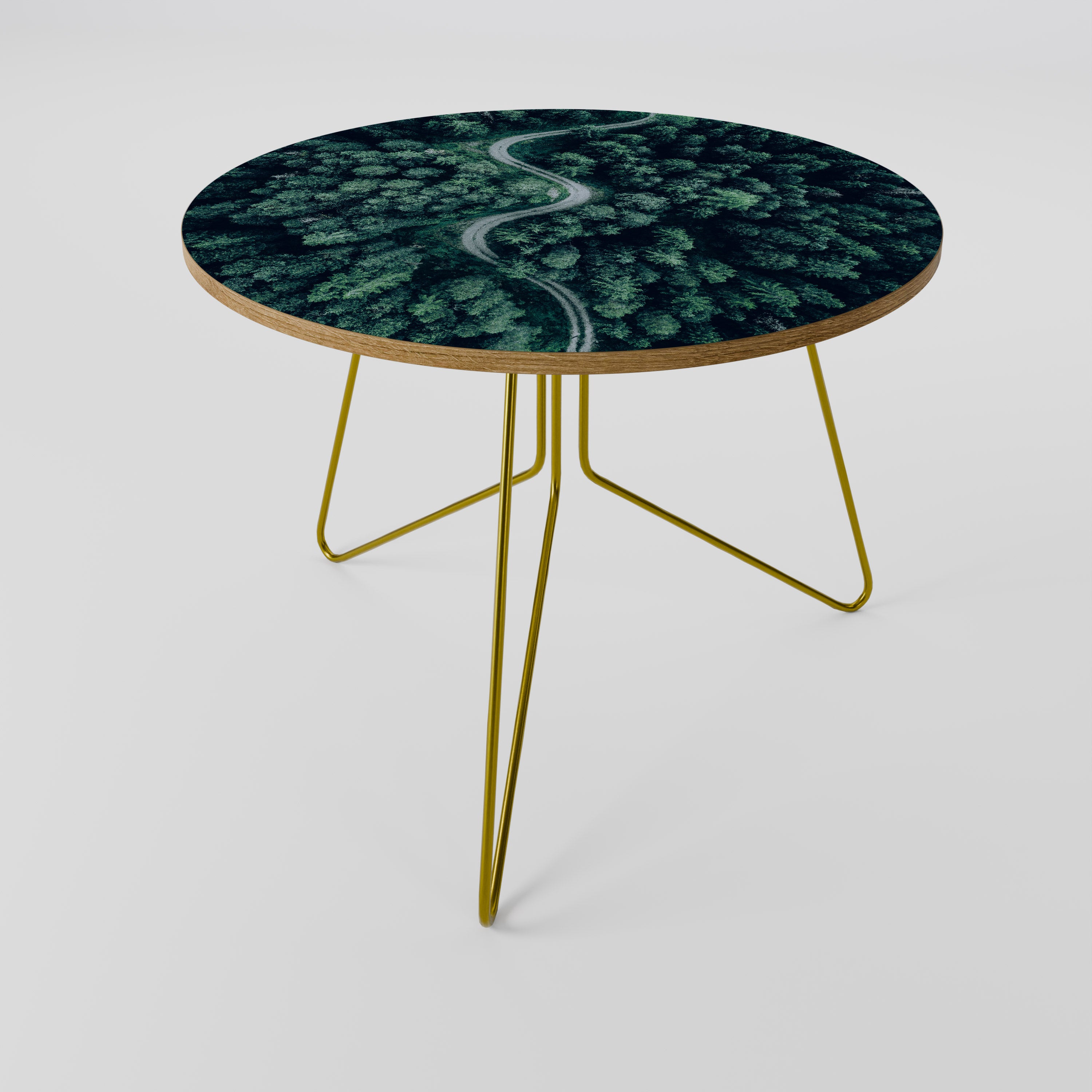 FORESTED SERPENTINE ROUTE Coffee Table