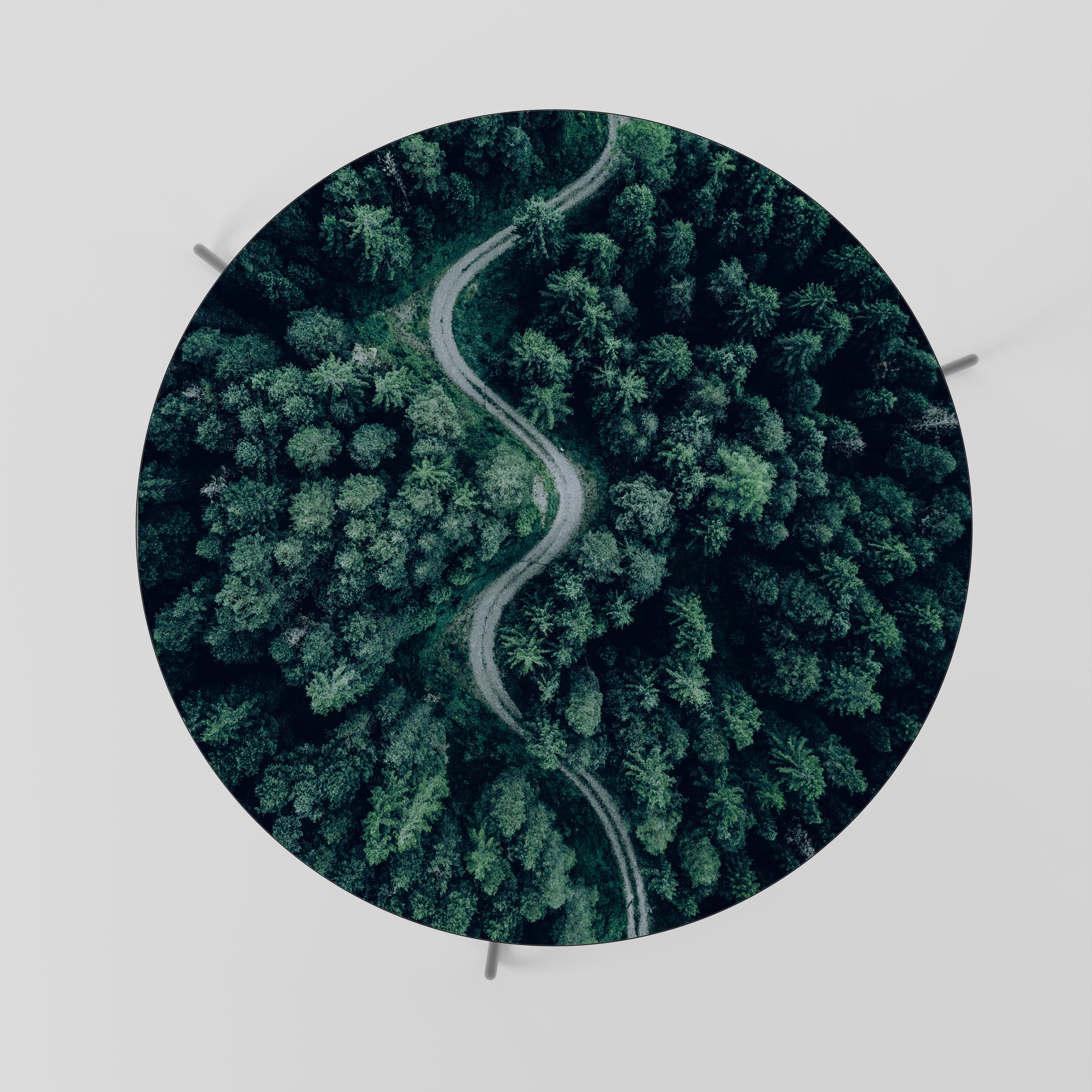 FORESTED SERPENTINE ROUTE Coffee Table