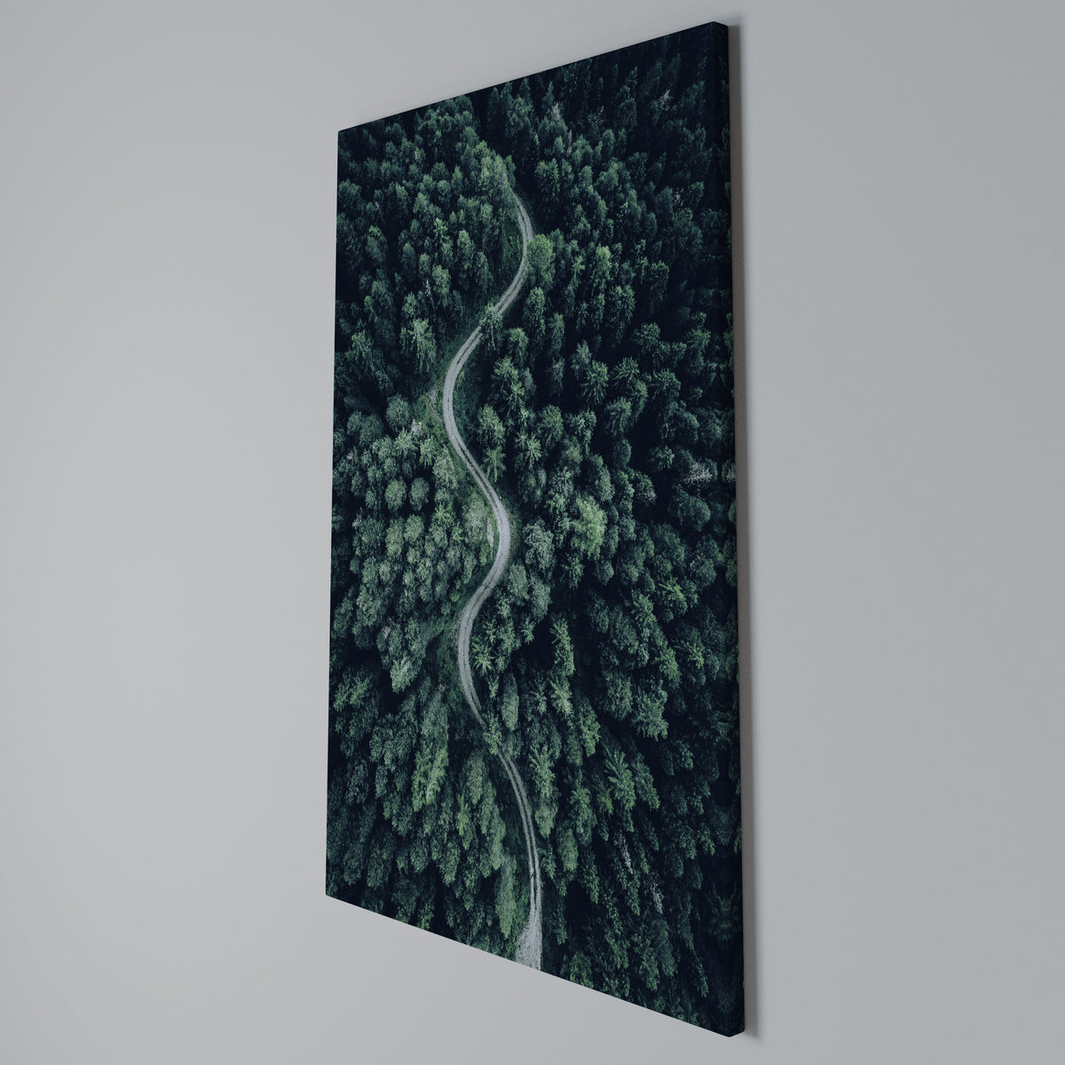 FORESTED SERPENTINE ROUTE Vertical Canvas Print
