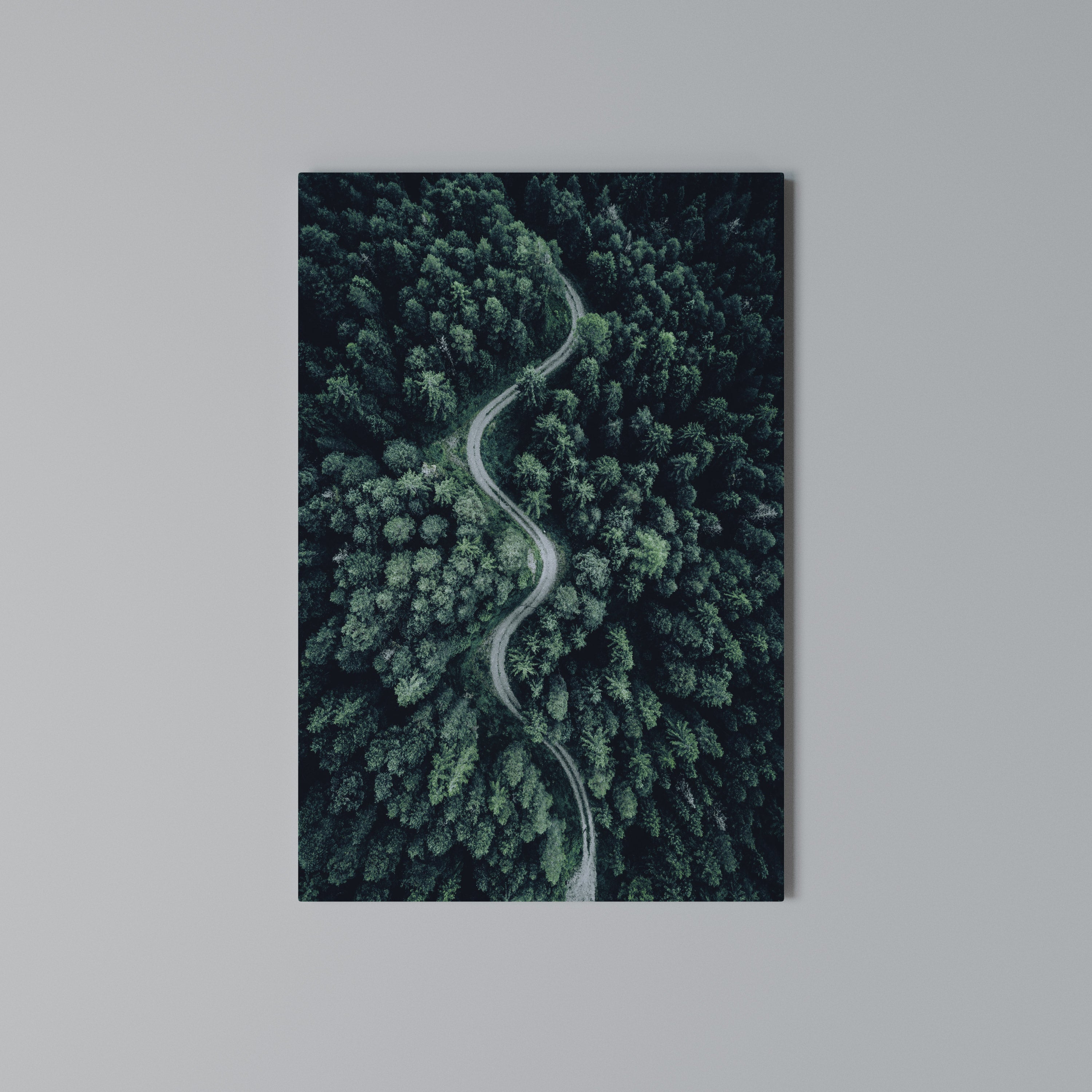 FORESTED SERPENTINE ROUTE Vertical Canvas Print