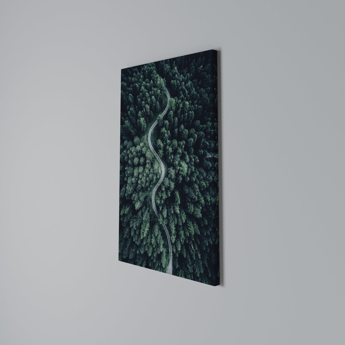 FORESTED SERPENTINE ROUTE Vertical Canvas Print