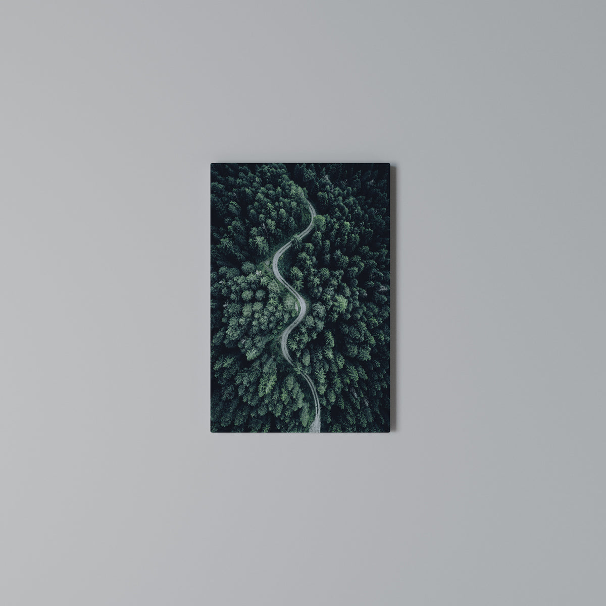 FORESTED SERPENTINE ROUTE Vertical Canvas Print
