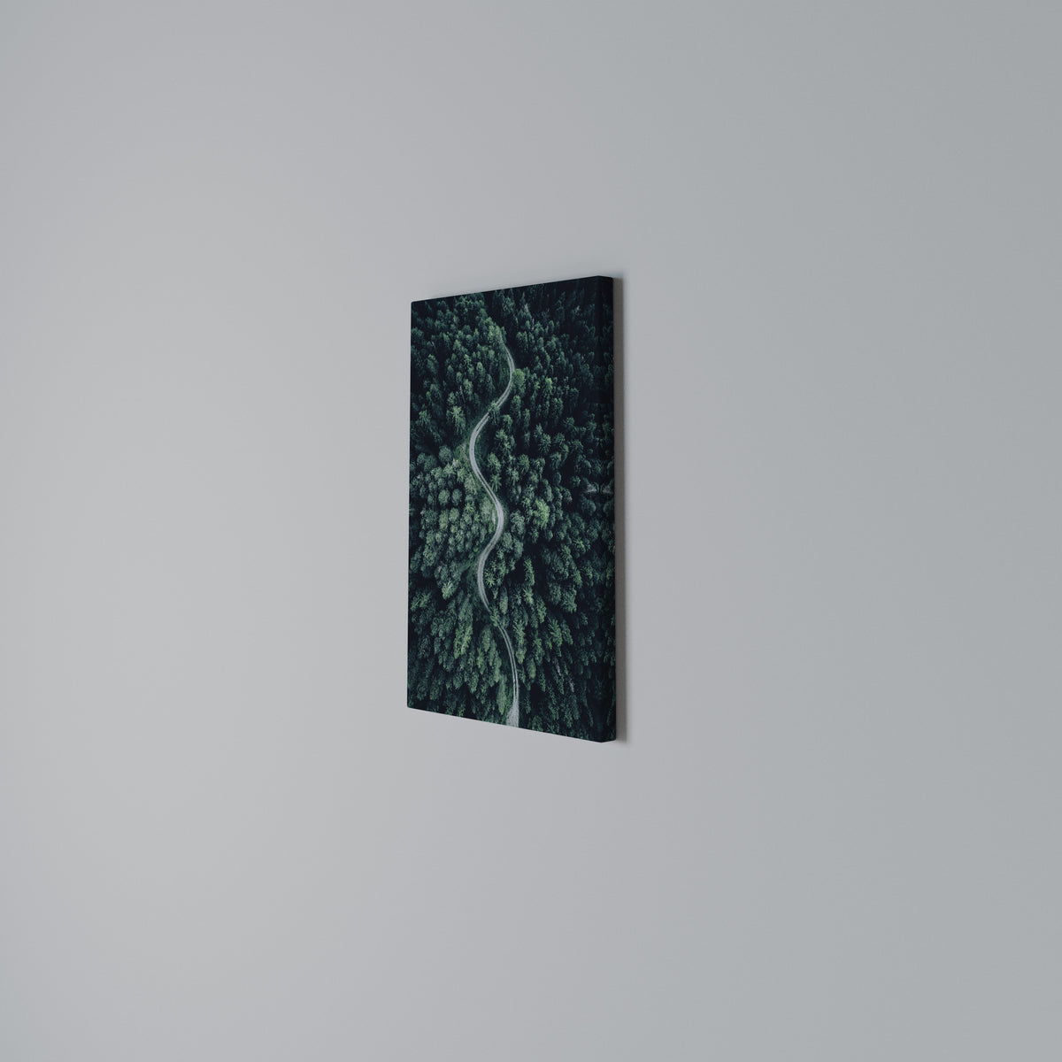 FORESTED SERPENTINE ROUTE Vertical Canvas Print