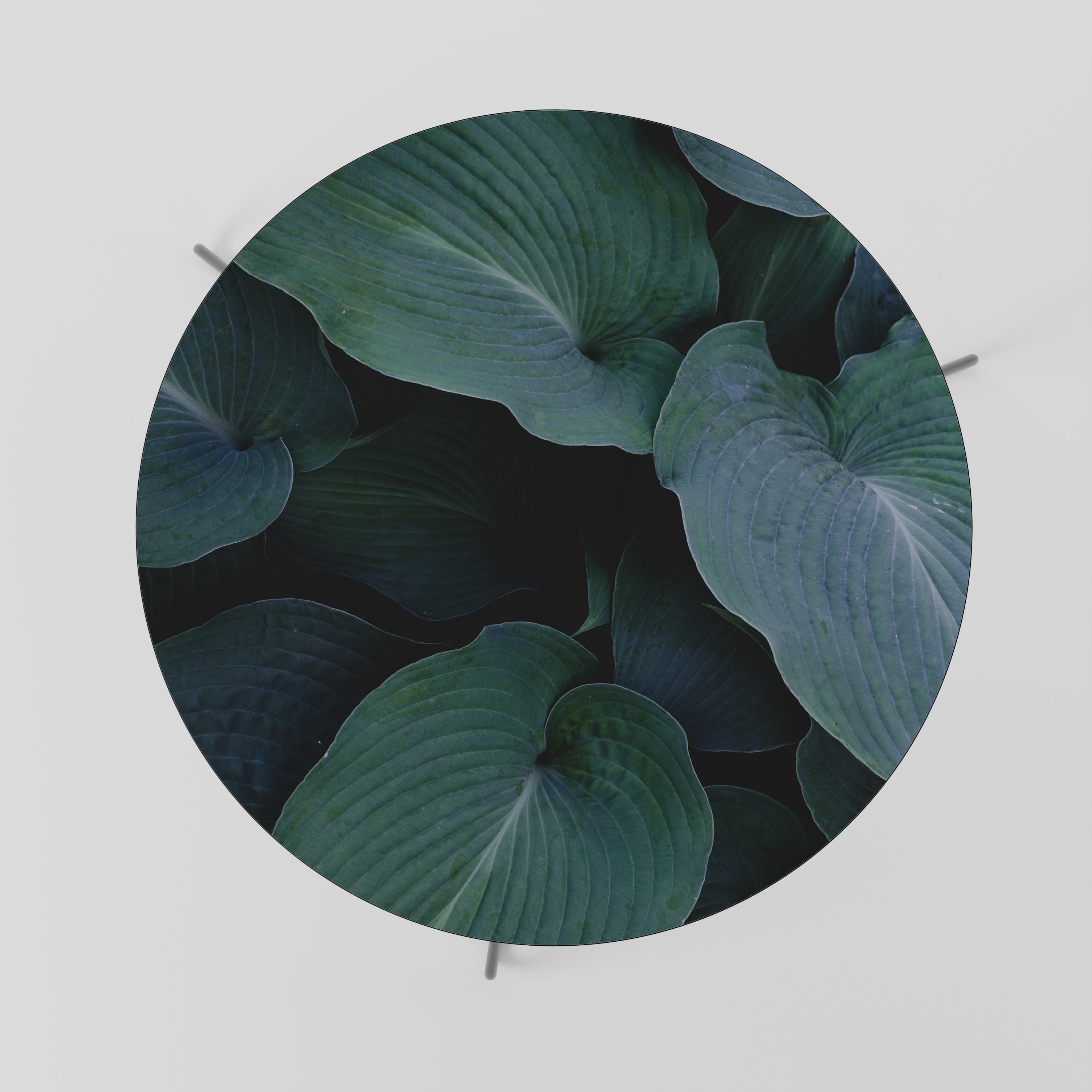 ENCHANTED FOLIAGE DANCE Coffee Table