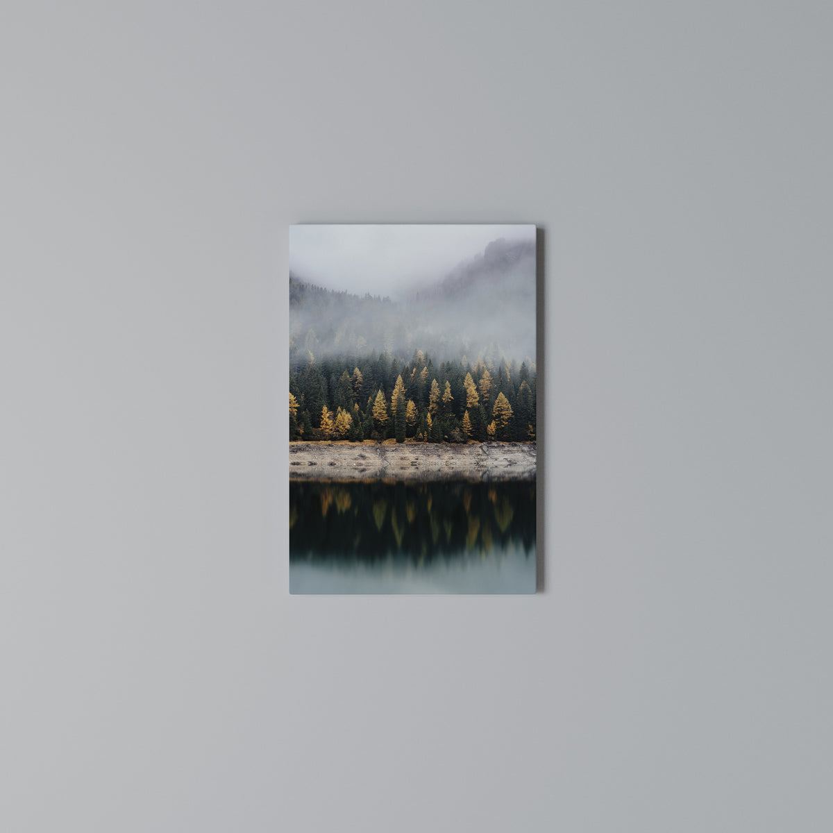 GOLDEN TREES IN FOG Vertical Canvas Print