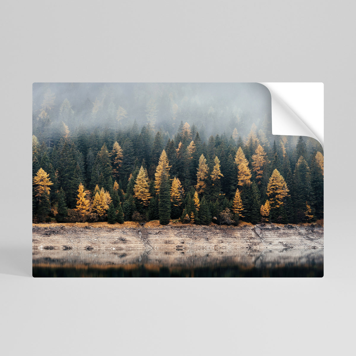 GOLDEN TREES IN FOG Selbstklebendes Horizontal-Poster