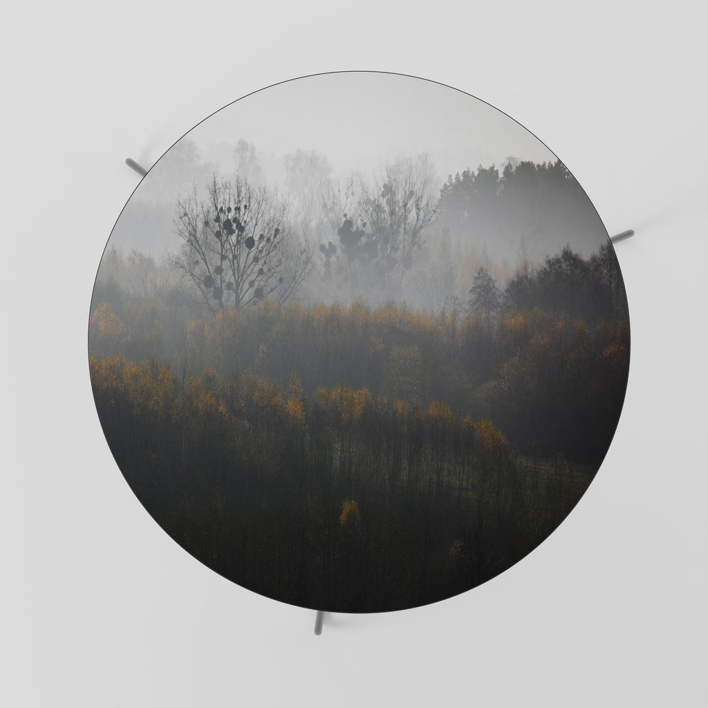 AUTUMNAL HAZE Coffee Table