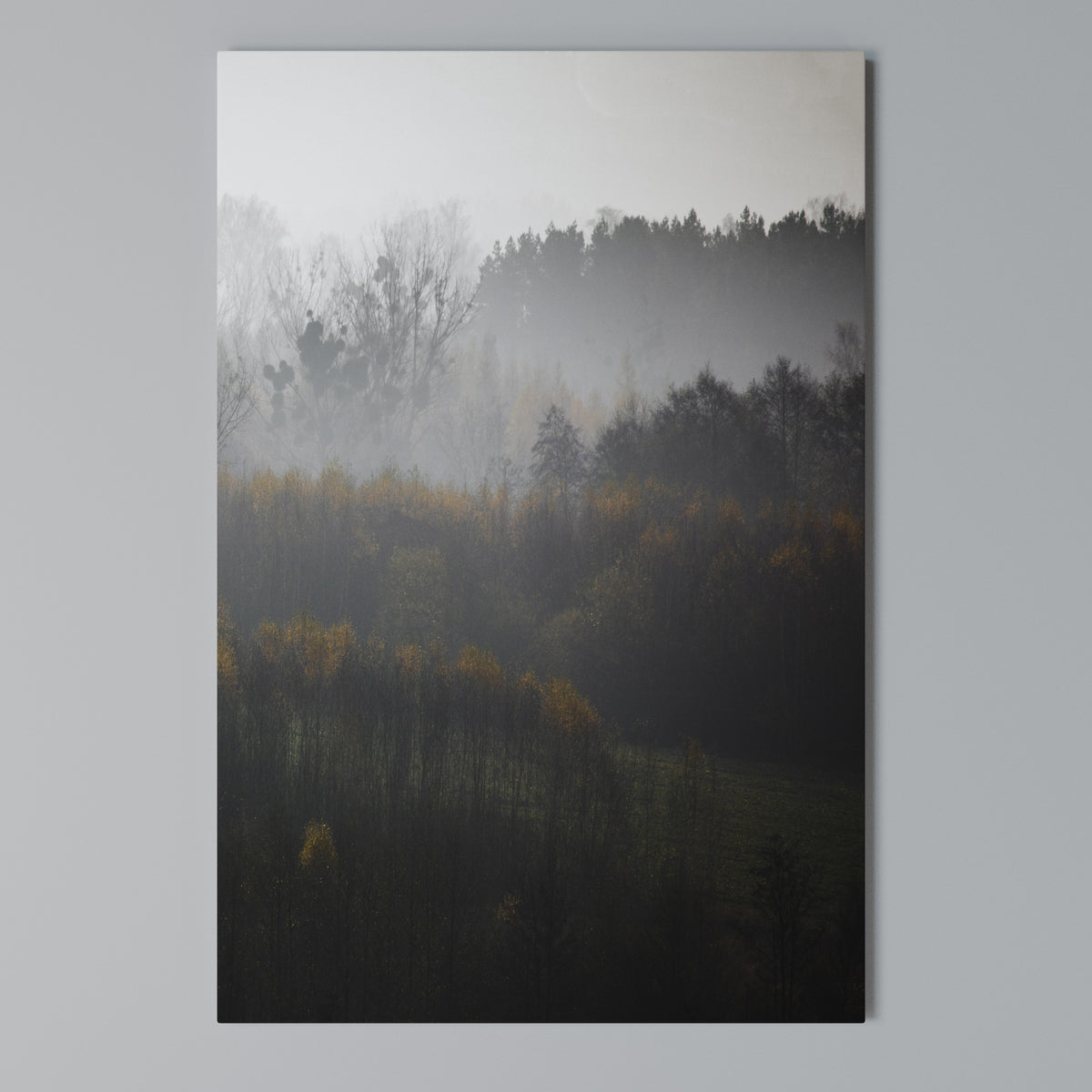 AUTUMNAL HAZE Stampa su tela verticale