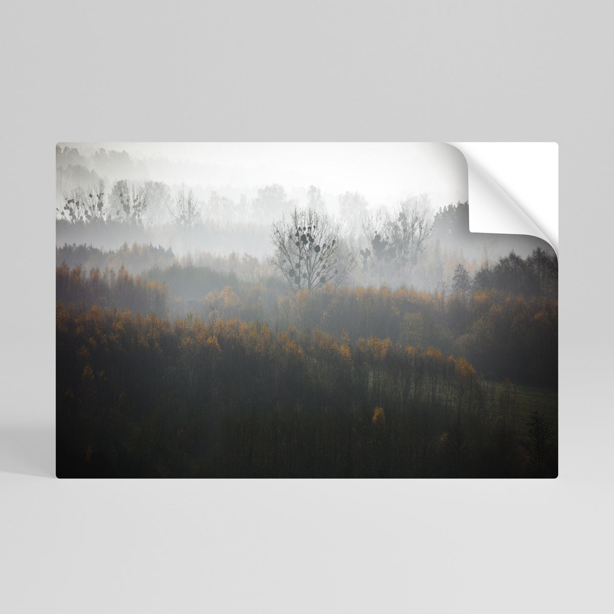 AUTUMNAL HAZE Selbstklebendes Horizontal-Poster