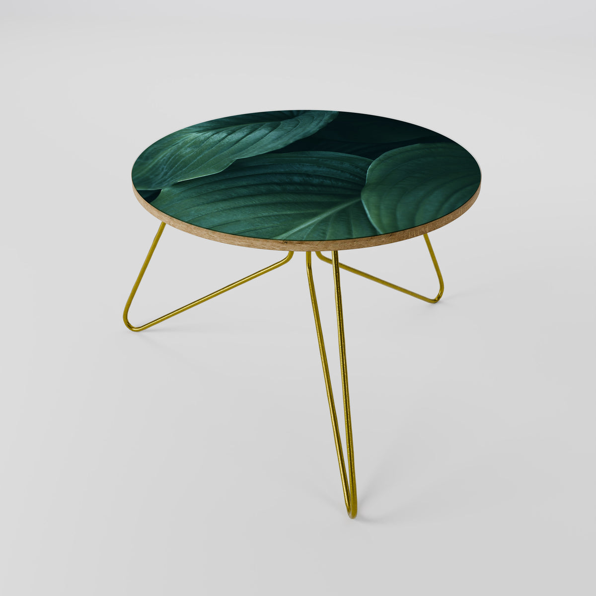 SUBTLE BOTANICAL HUES Τραπεζάκι σαλονιού