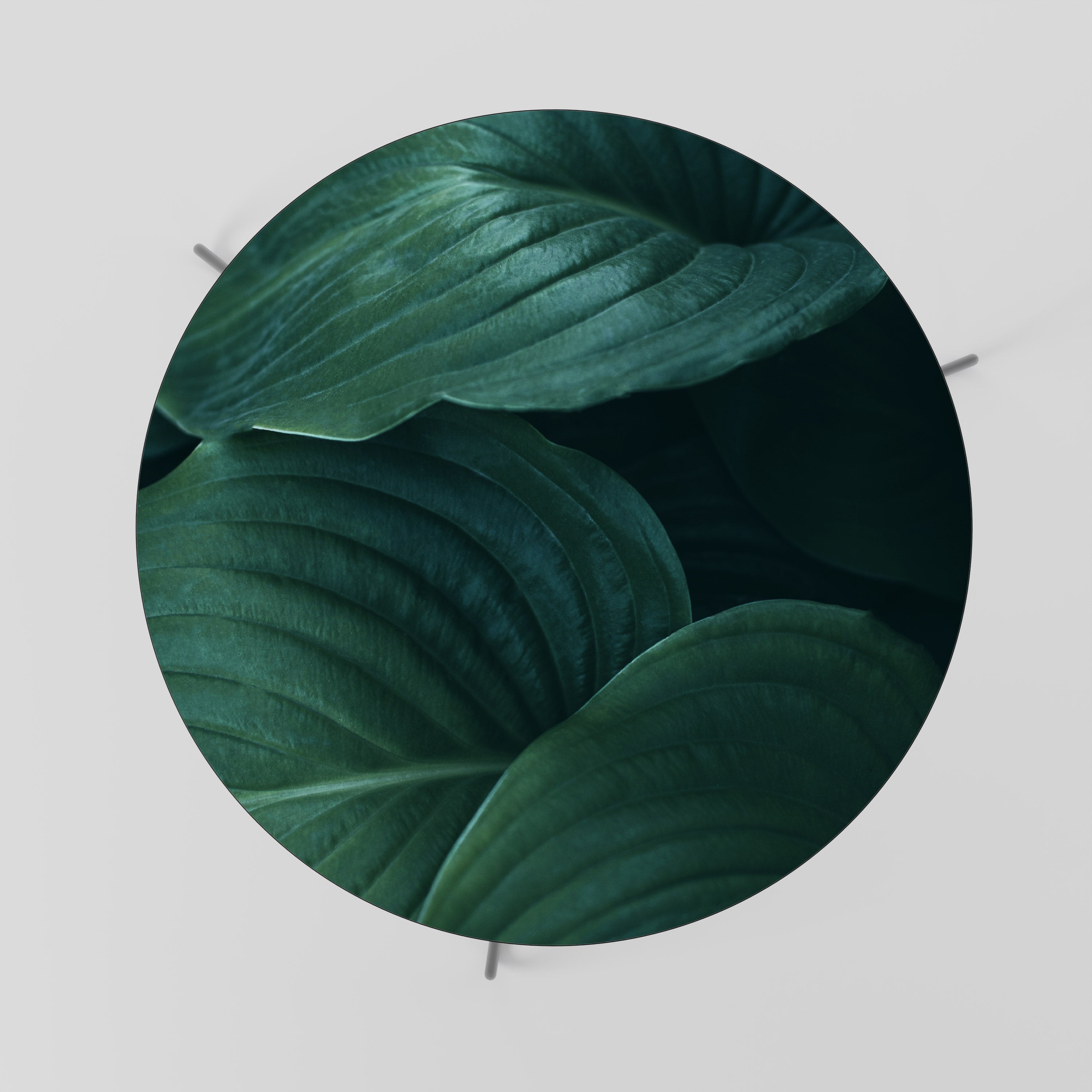 SUBTLE BOTANICAL HUES Coffee Table