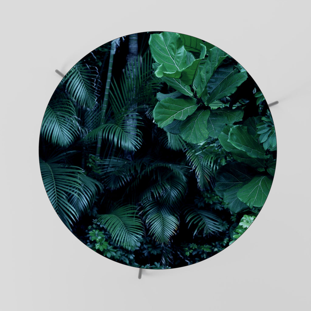 DEEP JUNGLE SERENADE Mesa de centro