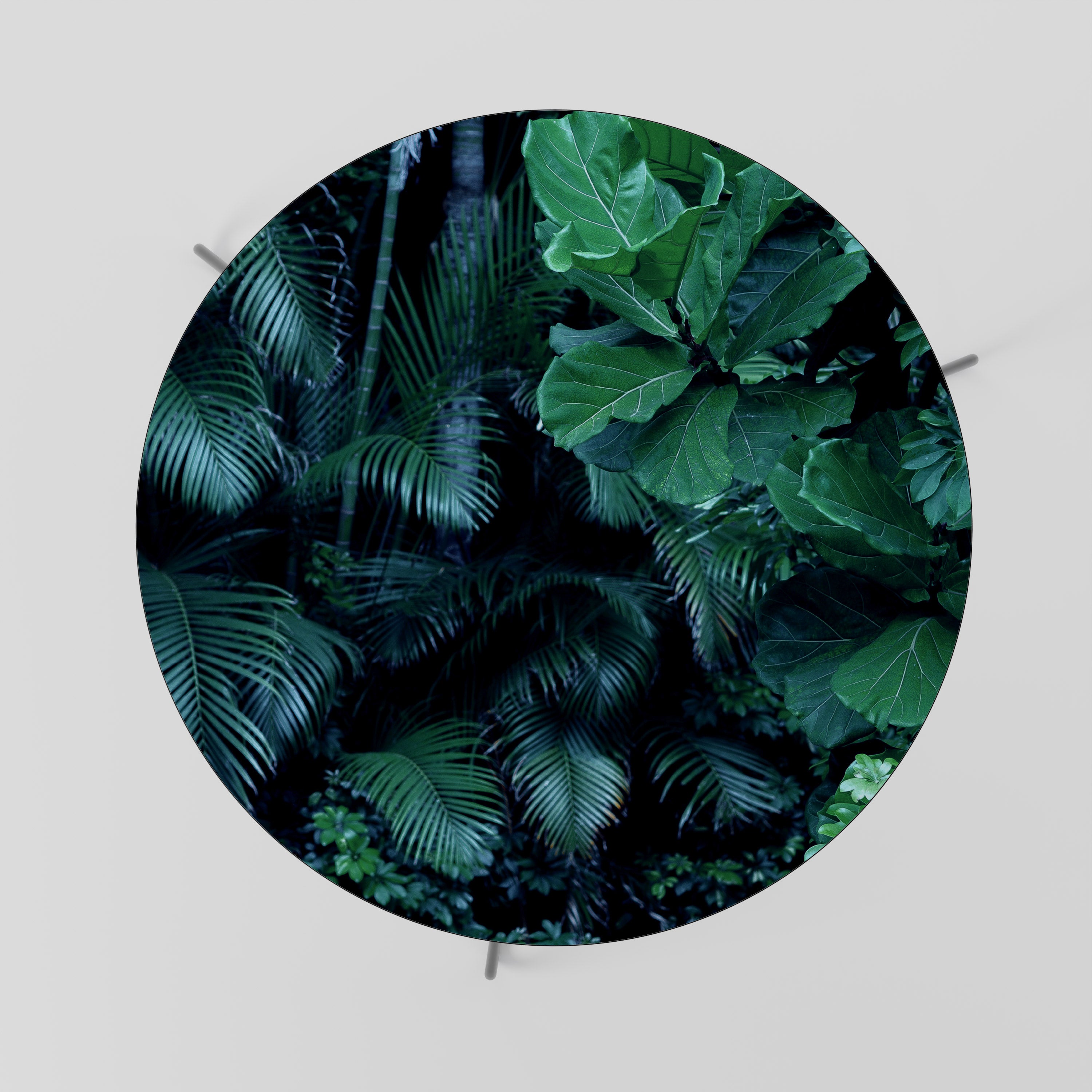 DEEP JUNGLE SERENADE Mesa de centro