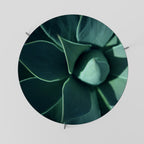 MYSTICAL GREEN WHORL Coffee Table