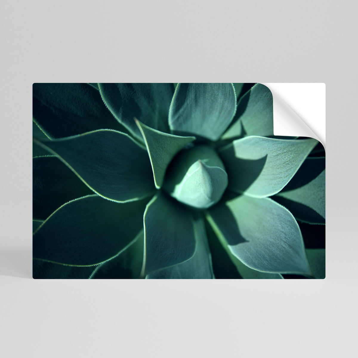 MYSTICAL GREEN WHORL Póster Autocolante Horizontal
