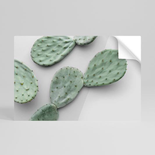 CACTUS DREAMSCAPE Poster Orizzontale Adesivo