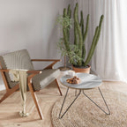 SILKEN SERENITY Mesa de centro