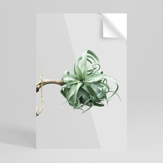 TANGLE OF NATURE Αυτοκόλλητη Αφίσα κάθετη