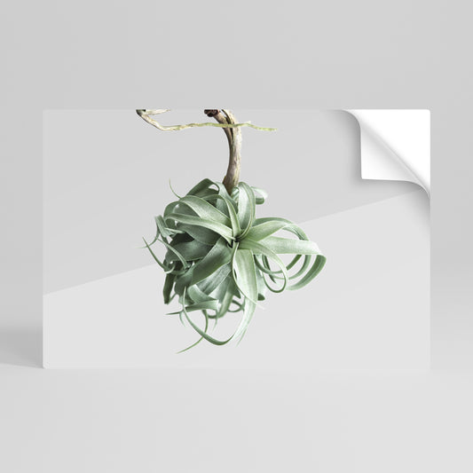 TANGLE OF NATURE Αυτοκόλλητη Αφίσα οριζόντια