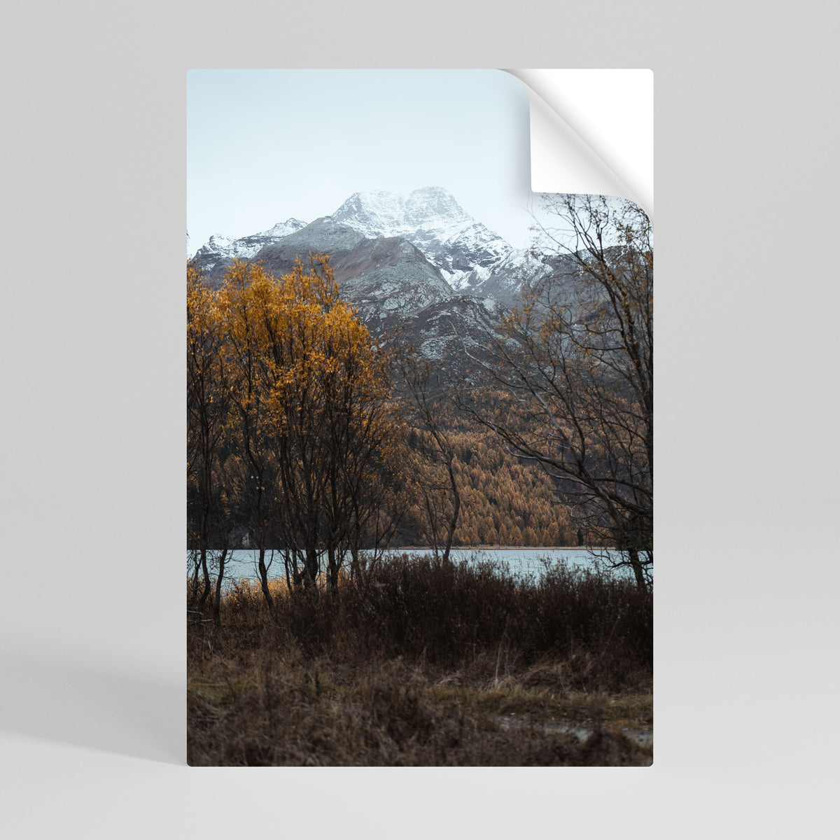AUTUMN'S SILENT EMBRACE Póster adhesivo vertical