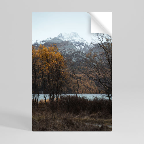 AUTUMN'S SILENT EMBRACE Poster Verticale Adesivo