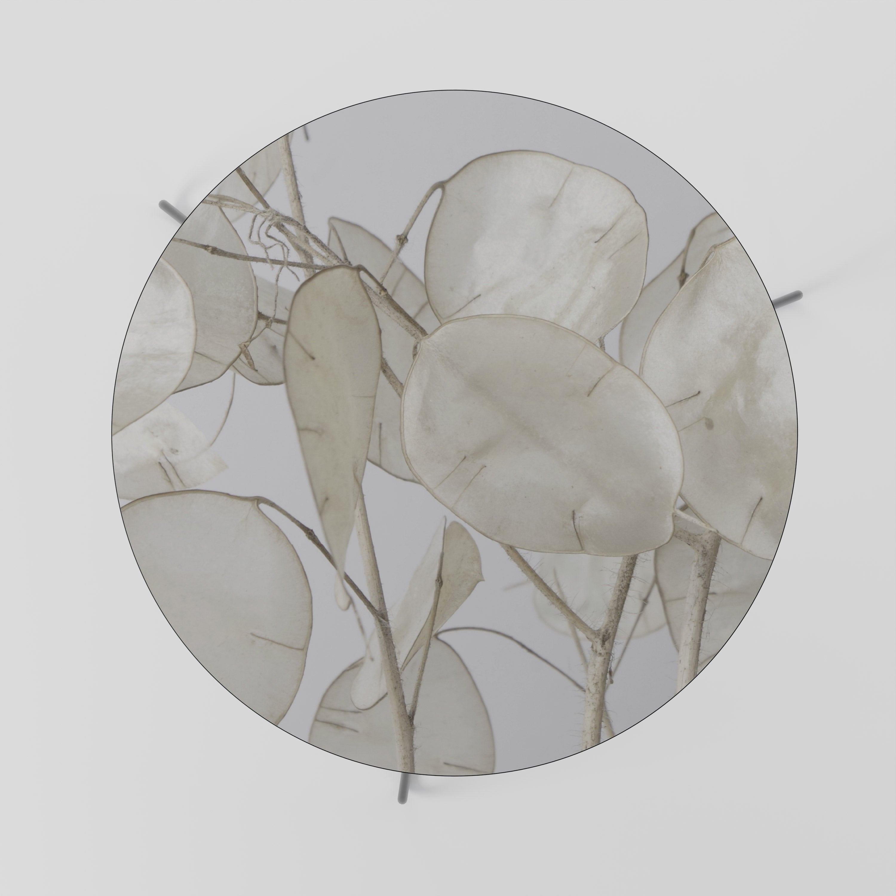 SILKY FOLIAGE WHISPERS Coffee Table