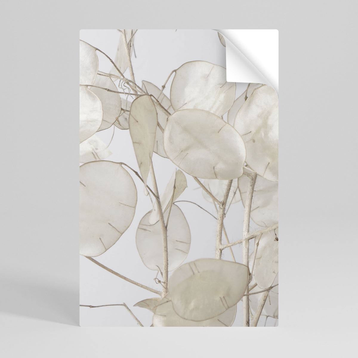 SILKY FOLIAGE WHISPERS Självhäftande Vertikal Poster