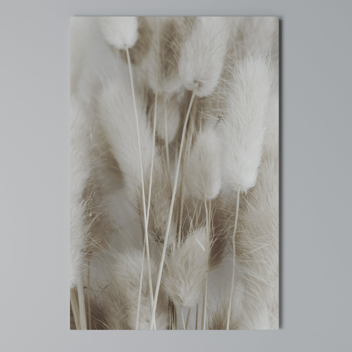 SOFTNESS IN FOCUS Quadro em tela vertical