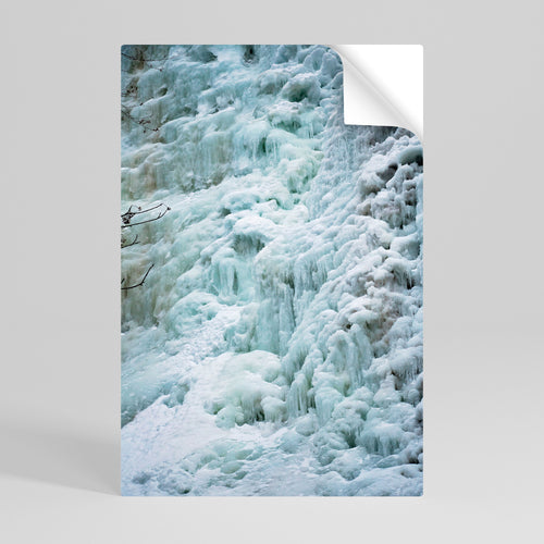 FROSTED WHISPERS Póster adhesivo vertical