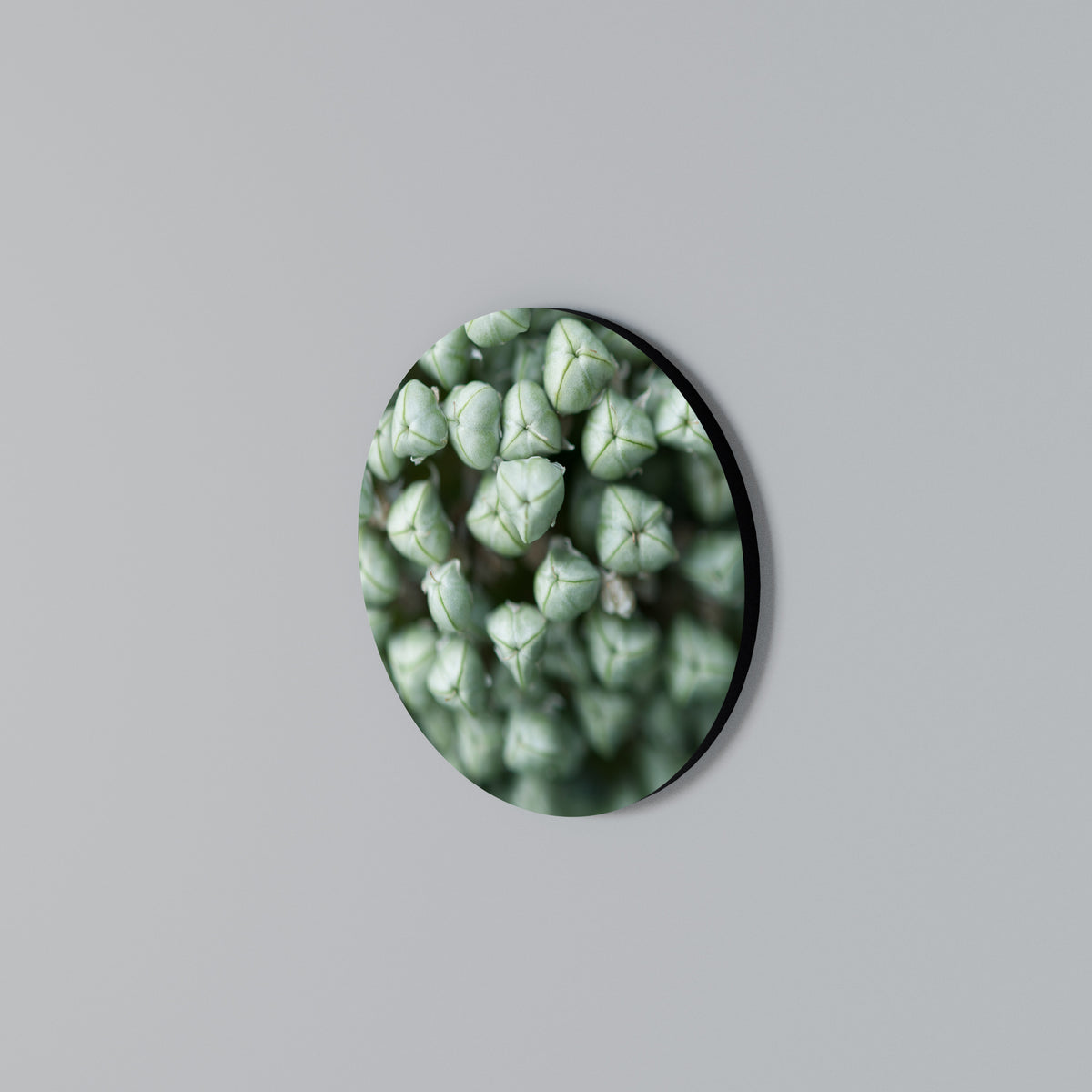 TEXTURED GREEN TIDBITS Arte de pared redondo