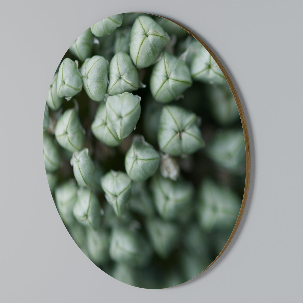 TEXTURED GREEN TIDBITS Arte de pared redondo