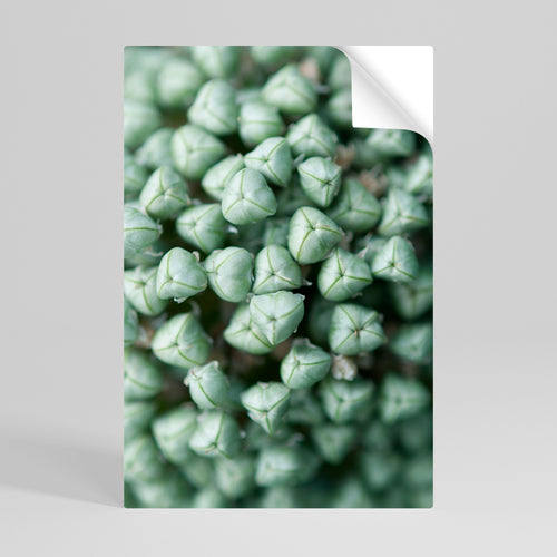 TEXTURED GREEN TIDBITS Selbstklebendes Poster - Hochformat