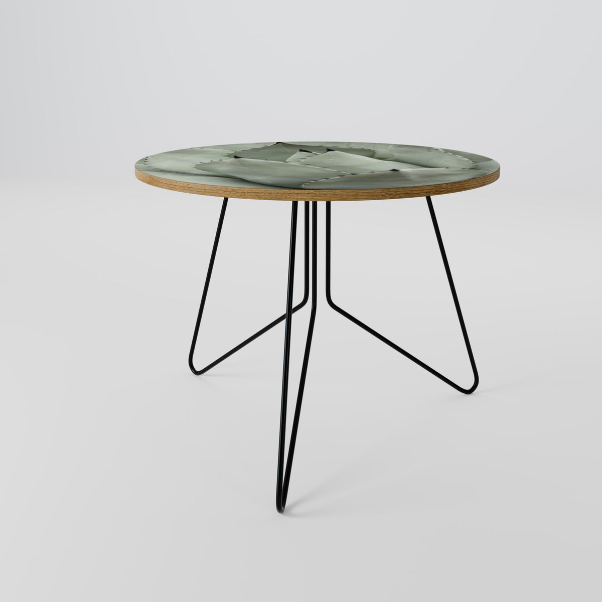 MYSTICAL SUCCULENT DREAM Coffee Table