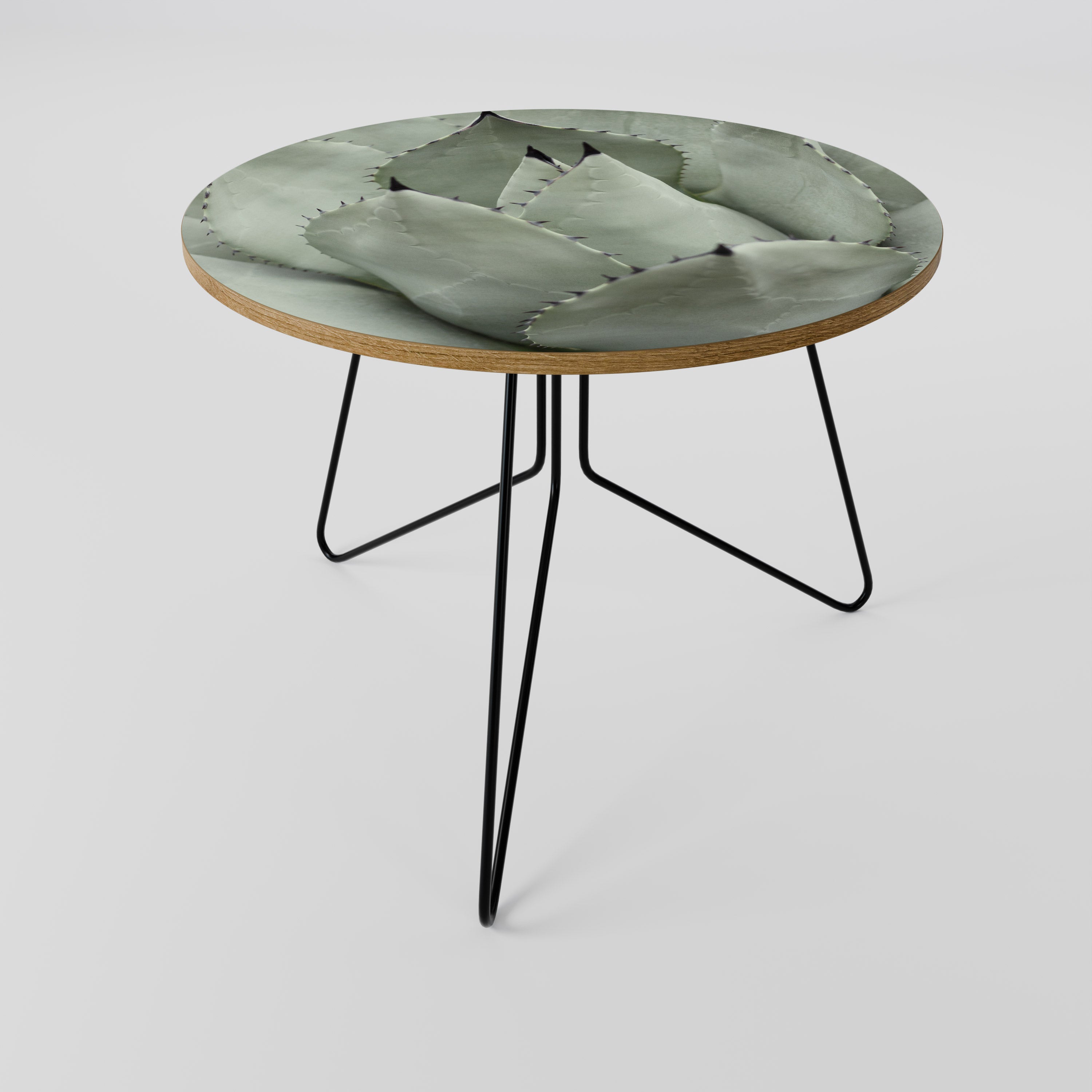 MYSTICAL SUCCULENT DREAM Konferenční stolek